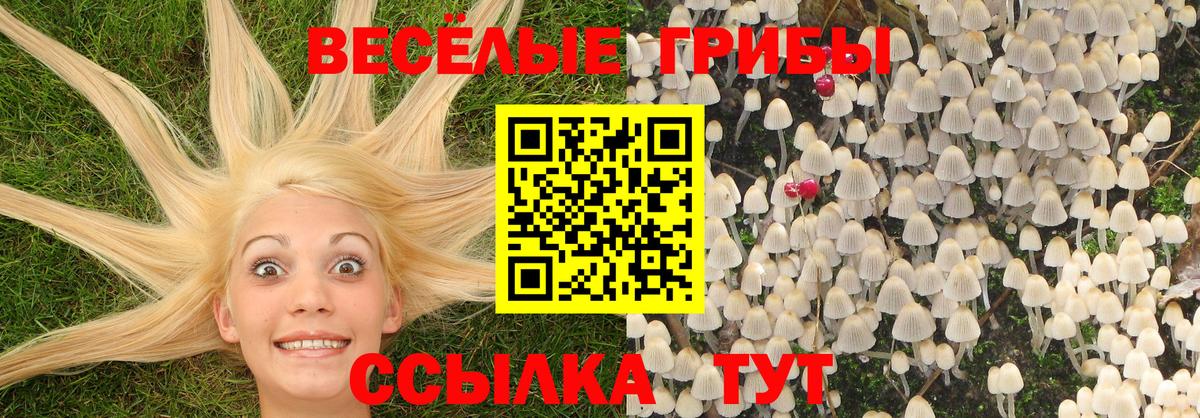 Туймазы  Псилоцибиновые грибы MAGIC MUSHROOMS  Галлюциногенные грибы GOLDEN TEACHER  Вход с VPN 